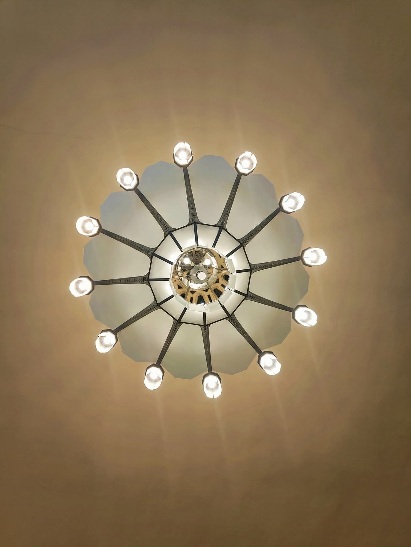 Lustre Art déco vu du dessous, motif floral symétrique rayonnant — Brasserie Georges